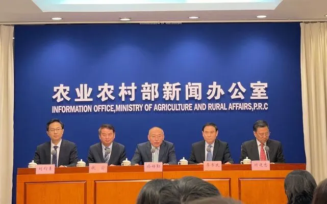 乡村网红的画像是怎样炼成的？