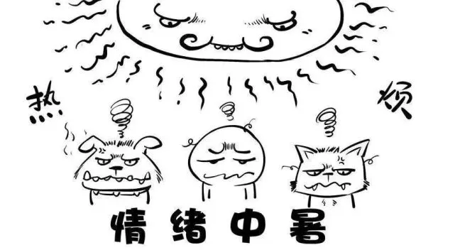 养生壶_养生：_秋季养生正当时进补≠养生