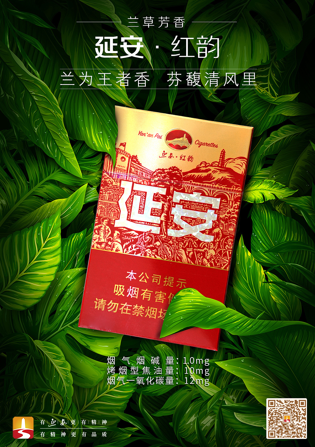 香烟帝豪多少钱一盒_香烟帝豪国风_帝豪香烟：
