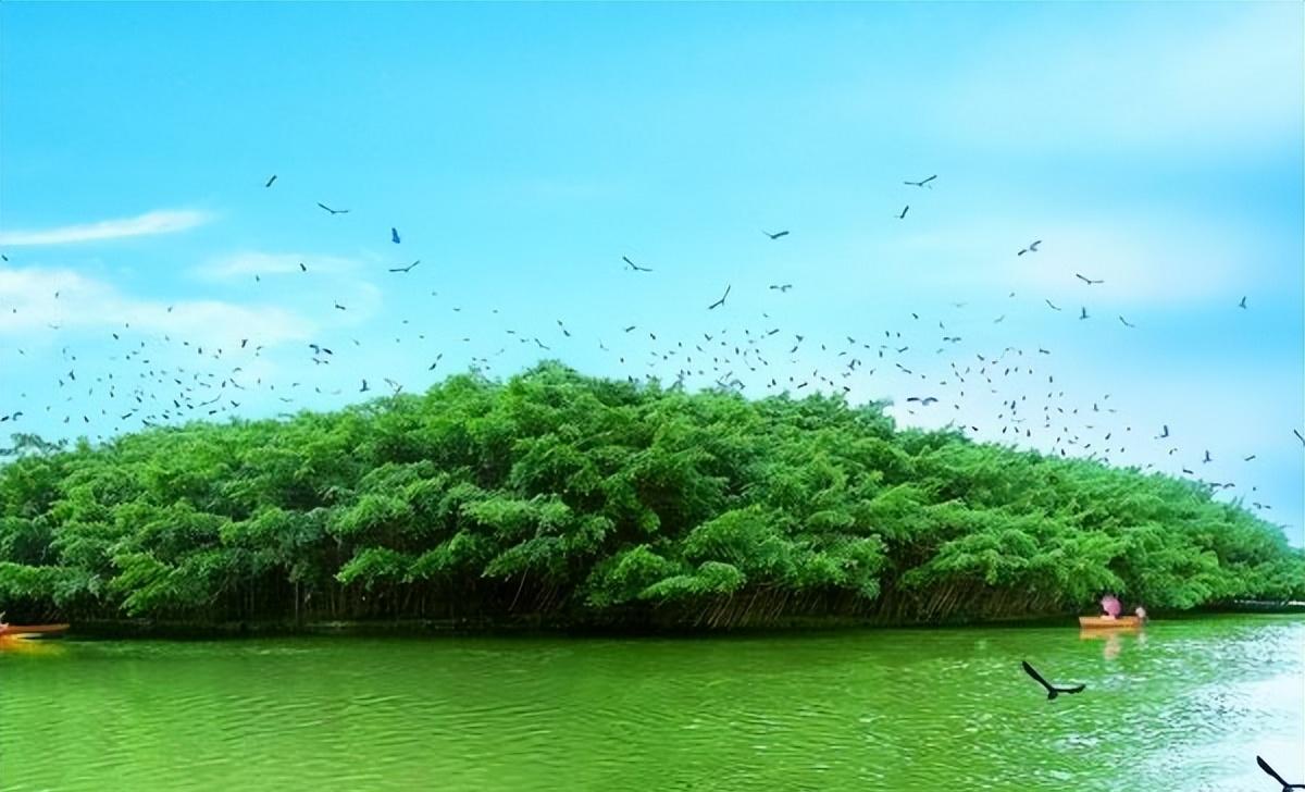 明星绯闻：_明星绯闻范冰冰图片_明星八卦绯闻霍建华