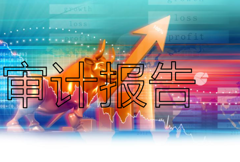 审计公司_审计师事务所_审计