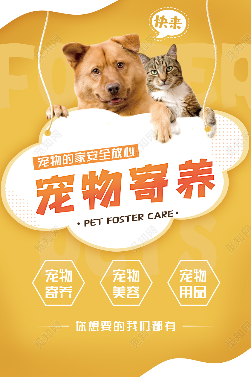 宠物寄养中心_宠物寄养_宠物寄养合同