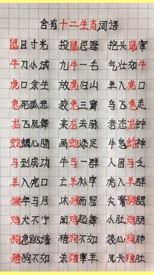 哪个生肖代表