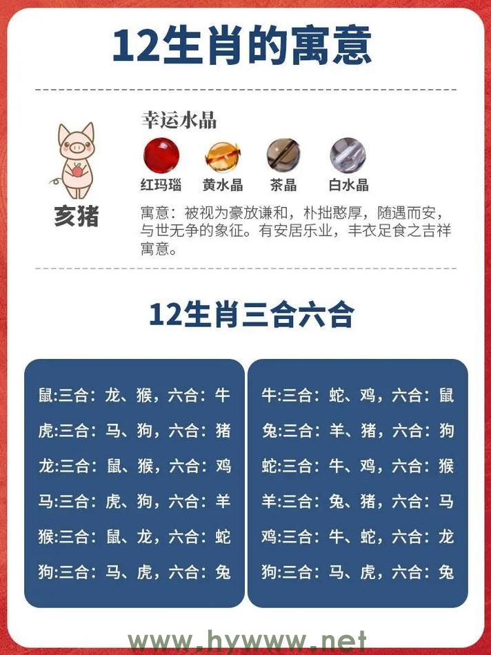 十二生肖中哪个代表“战无不胜”，词语释义解析 - 腿腿教学网