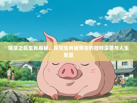 喘息之机生肖揭秘，探究生肖猪背后的独特深意与人生寓意