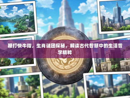 鞭打快牛指，生肖谜团探秘，解读古代智慧中的生活哲学精粹