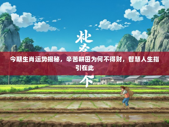 今期生肖运势揭秘，辛苦耕田为何不得财，智慧人生指引在此