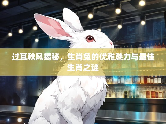 过耳秋风揭秘，生肖兔的优雅魅力与最佳生肖之谜