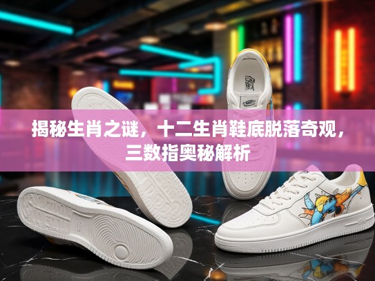 揭秘生肖之谜，十二生肖鞋底脱落奇观，三数指奥秘解析