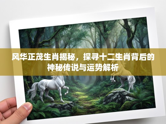 风华正茂生肖揭秘，探寻十二生肖背后的神秘传说与运势解析