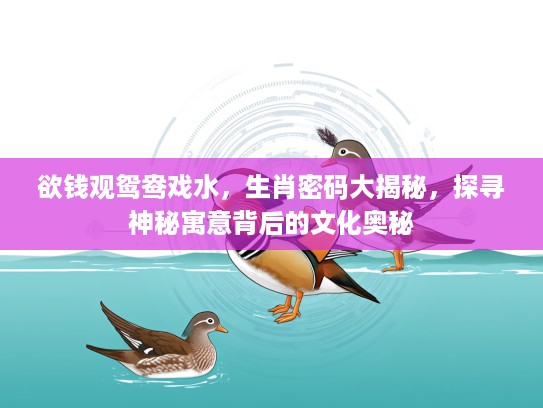 欲钱观鸳鸯戏水，生肖密码大揭秘，探寻神秘寓意背后的文化奥秘