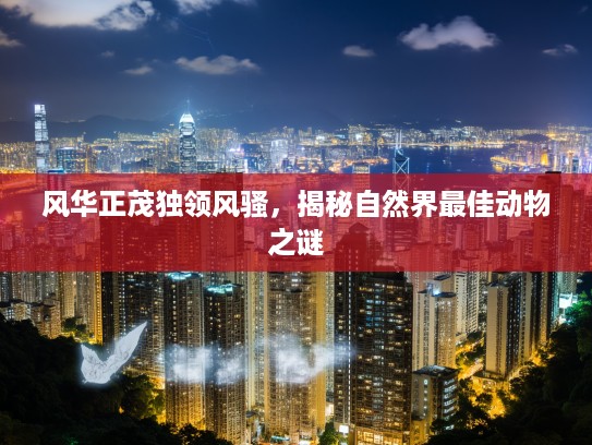 风华正茂独领风骚，揭秘自然界最佳动物之谜
