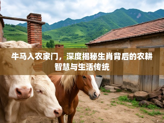 牛马入农家门，深度揭秘生肖背后的农耕智慧与生活传统