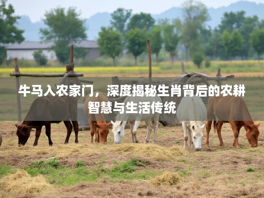 牛马入农家门，深度揭秘生肖背后的农耕智慧与生活传统