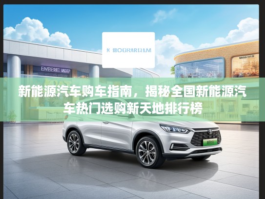 新能源汽车购车指南，揭秘全国新能源汽车热门选购新天地排行榜
