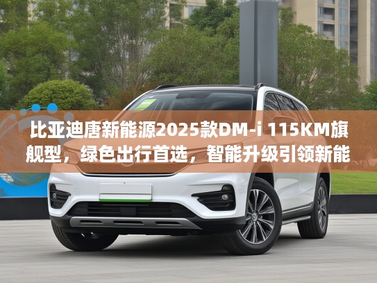 比亚迪唐新能源2025款DM-i 115KM旗舰型，绿色出行首选，智能升级引领新能源潮流体验
