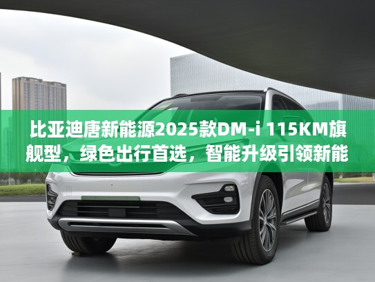 比亚迪唐新能源2025款DM-i 115KM旗舰型，绿色出行首选，智能升级引领新能源潮流体验