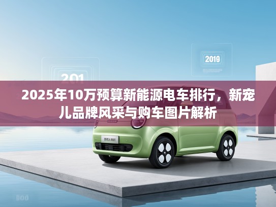 2025年10万预算新能源电车排行，新宠儿品牌风采与购车图片解析