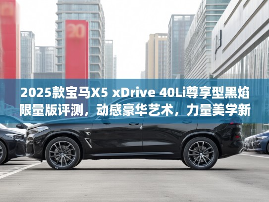 2025款宝马X5 xDrive 40Li尊享型黑焰限量版评测，动感豪华艺术，力量美学新境界