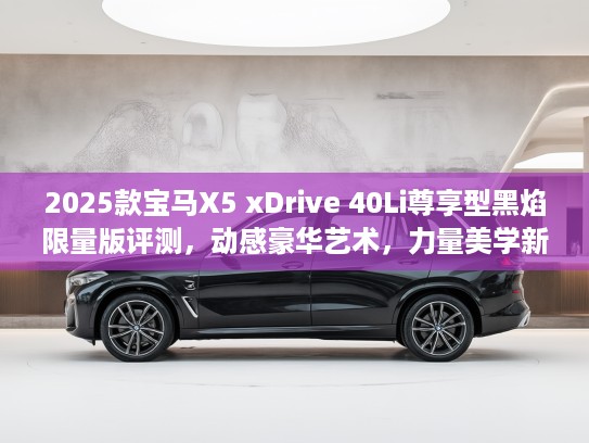 2025款宝马X5 xDrive 40Li尊享型黑焰限量版评测，动感豪华艺术，力量美学新境界