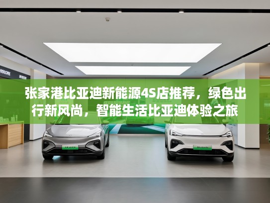 张家港比亚迪新能源4S店推荐，绿色出行新风尚，智能生活比亚迪体验之旅