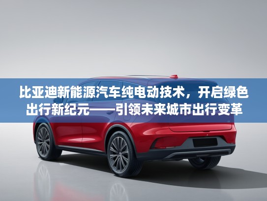 比亚迪新能源汽车纯电动技术，开启绿色出行新纪元——引领未来城市出行变革