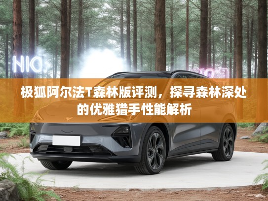 极狐阿尔法T森林版评测，探寻森林深处的优雅猎手性能解析