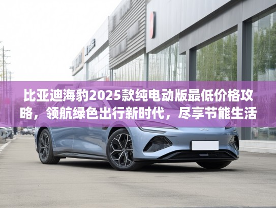 比亚迪海豹2025款纯电动版最低价格攻略，领航绿色出行新时代，尽享节能生活新体验