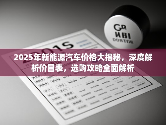 2025年新能源汽车价格大揭秘，深度解析价目表，选购攻略全面解析
