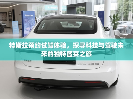 特斯拉预约试驾体验，探寻科技与驾驶未来的独特盛宴之旅