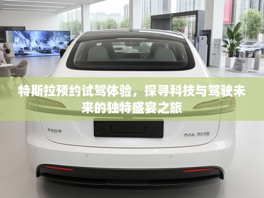 特斯拉预约试驾体验，探寻科技与驾驶未来的独特盛宴之旅