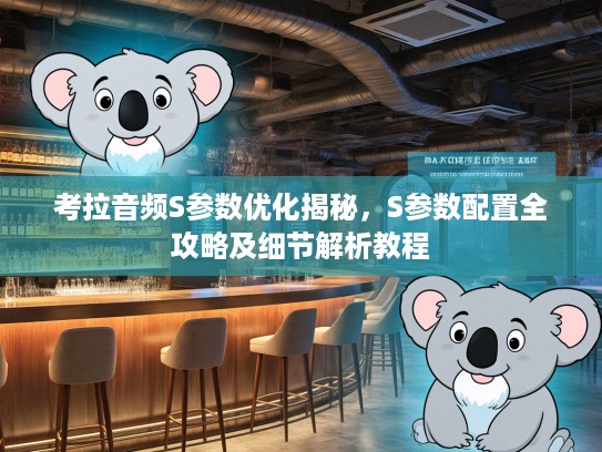 考拉音频S参数优化揭秘，S参数配置全攻略及细节解析教程