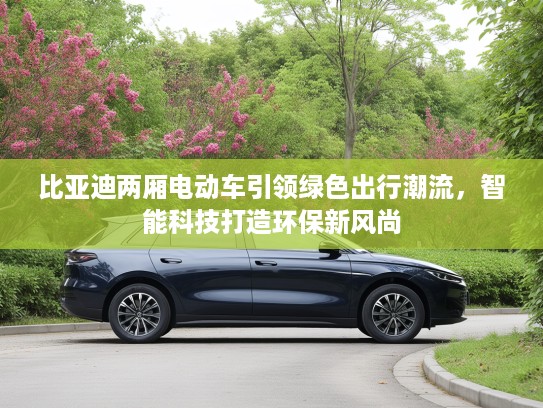 比亚迪两厢电动车引领绿色出行潮流，智能科技打造环保新风尚