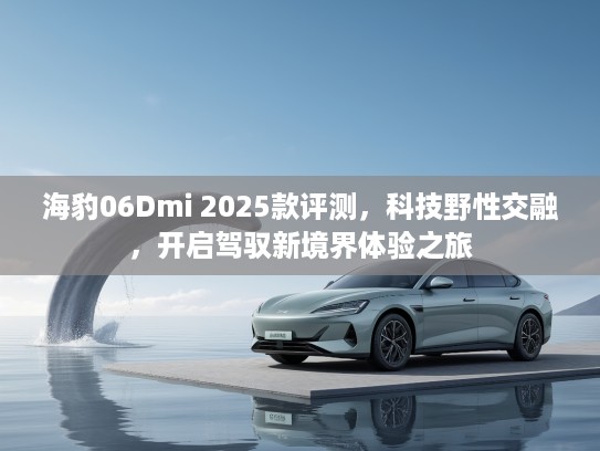 海豹06Dmi 2025款评测，科技野性交融，开启驾驭新境界体验之旅