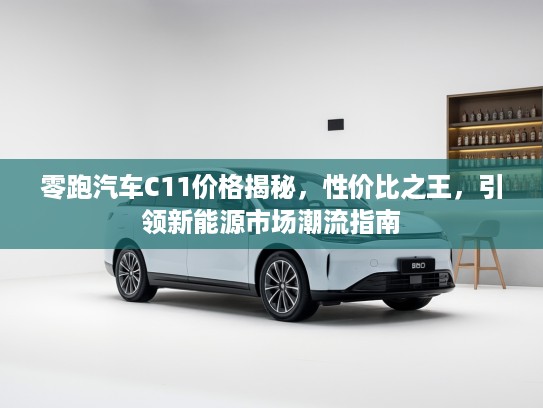 零跑汽车C11价格揭秘，性价比之王，引领新能源市场潮流指南