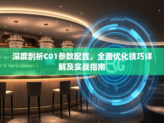 深度剖析C01参数配置，全面优化技巧详解及实战指南