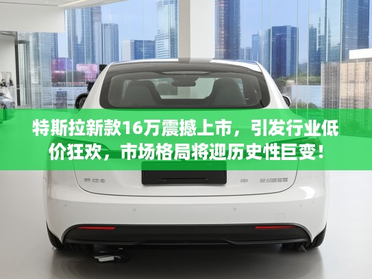 特斯拉新款16万震撼上市，引发行业低价狂欢，市场格局将迎历史性巨变！