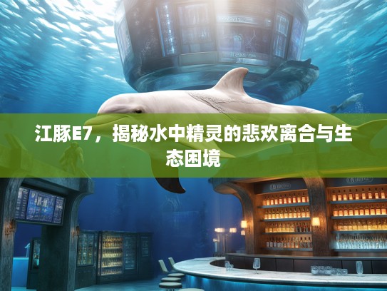 江豚E7，揭秘水中精灵的悲欢离合与生态困境