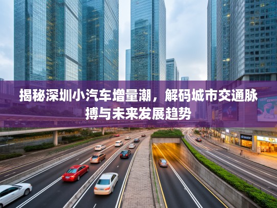 揭秘深圳小汽车增量潮，解码城市交通脉搏与未来发展趋势
