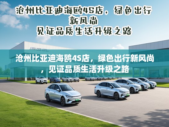 沧州比亚迪海鸥4S店，绿色出行新风尚，见证品质生活升级之路