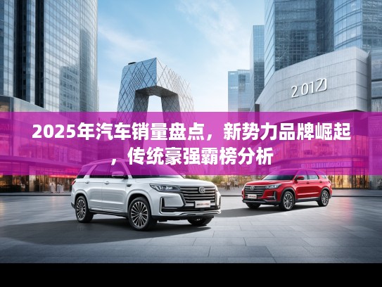 2025年汽车销量盘点，新势力品牌崛起，传统豪强霸榜分析