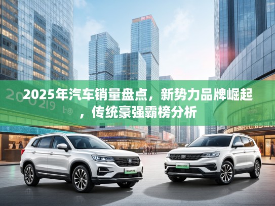 2025年汽车销量盘点，新势力品牌崛起，传统豪强霸榜分析