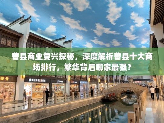 曹县商业复兴探秘，深度解析曹县十大商场排行，繁华背后哪家最强？
