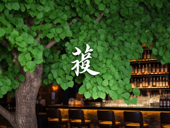 杨穿三叶成语组词，探寻成语魅力中的智慧与创意表达