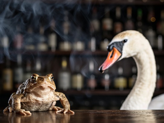 成语趣味解读，癞蛤蟆想吃天鹅肉——深入解析成语组词的幽默魅力
