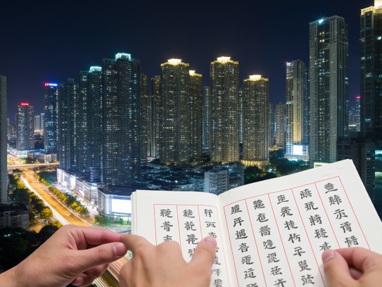 探寻成语魅力，深度解读连甍接栋之美及其成语组词新意