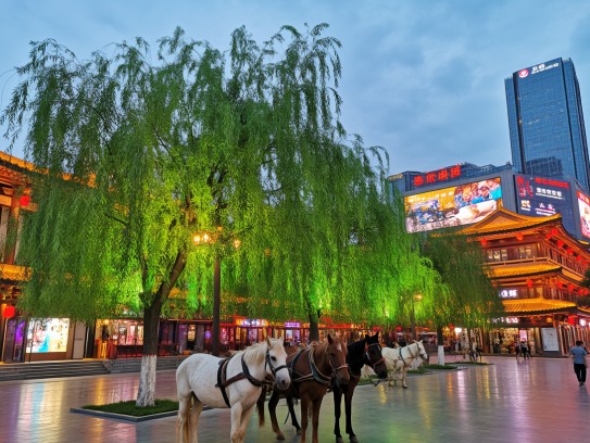 但有绿杨堪系马成语组词解析，古韵长安路的艺术之旅