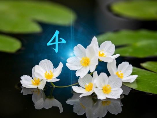 水性杨花成语探秘，意难寻背后的组词奥秘解析