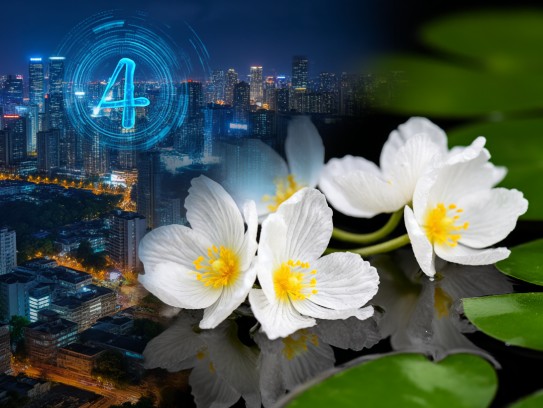 水性杨花成语探秘，意难寻背后的组词奥秘解析