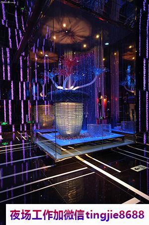海门高端夜总会招聘女孩——「一步登天」的机遇降临,招募信息资讯引领成功之路